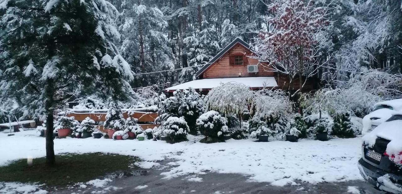 Domek W Ogrodzie Caloroczny 800M Od Parku Wodnego Suntago Ranczo Gold Mania Krzyzowka  Eksteriør bilde